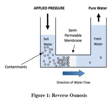 Human Powered Reverse Osmosis